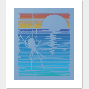 Spider shadow hanging on the beach Posters and Art